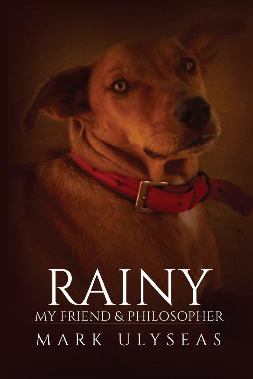 Cover of the book Rainy by Mark Ulyseas, Notion Press