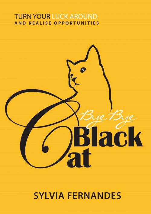 Cover of the book Bye Bye Black Cat by Sylvia Fernandes, VIA Frontiers Pte Ltd