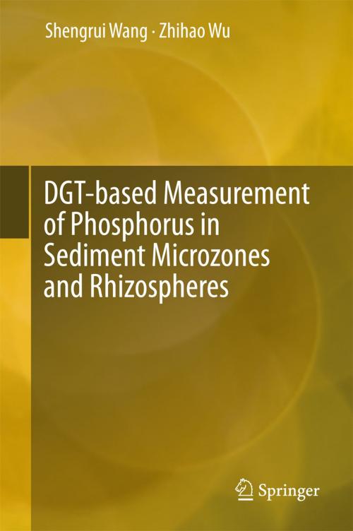 Cover of the book DGT-based Measurement of Phosphorus in Sediment Microzones and Rhizospheres by Shengrui Wang, Zhihao Wu, Springer Singapore
