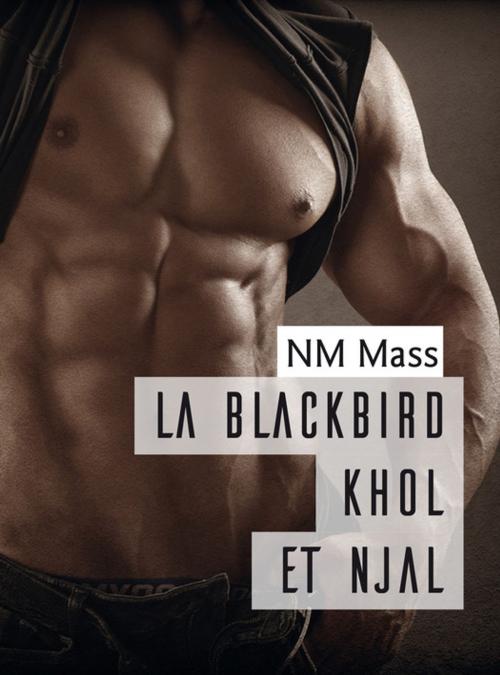 Cover of the book La Blackbird Khôl et Njal by NM Mass, Éditions Textes Gais