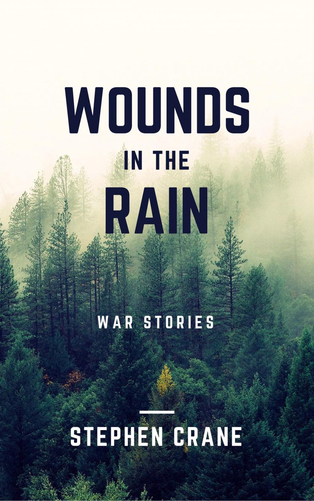 Big bigCover of Wounds in the Rain (Annotated)