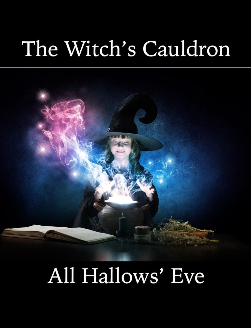 Big bigCover of The Witch's Cauldron