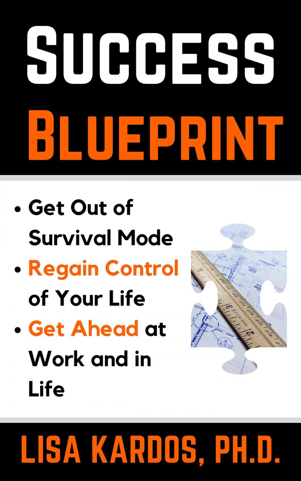 Big bigCover of Success Blueprint