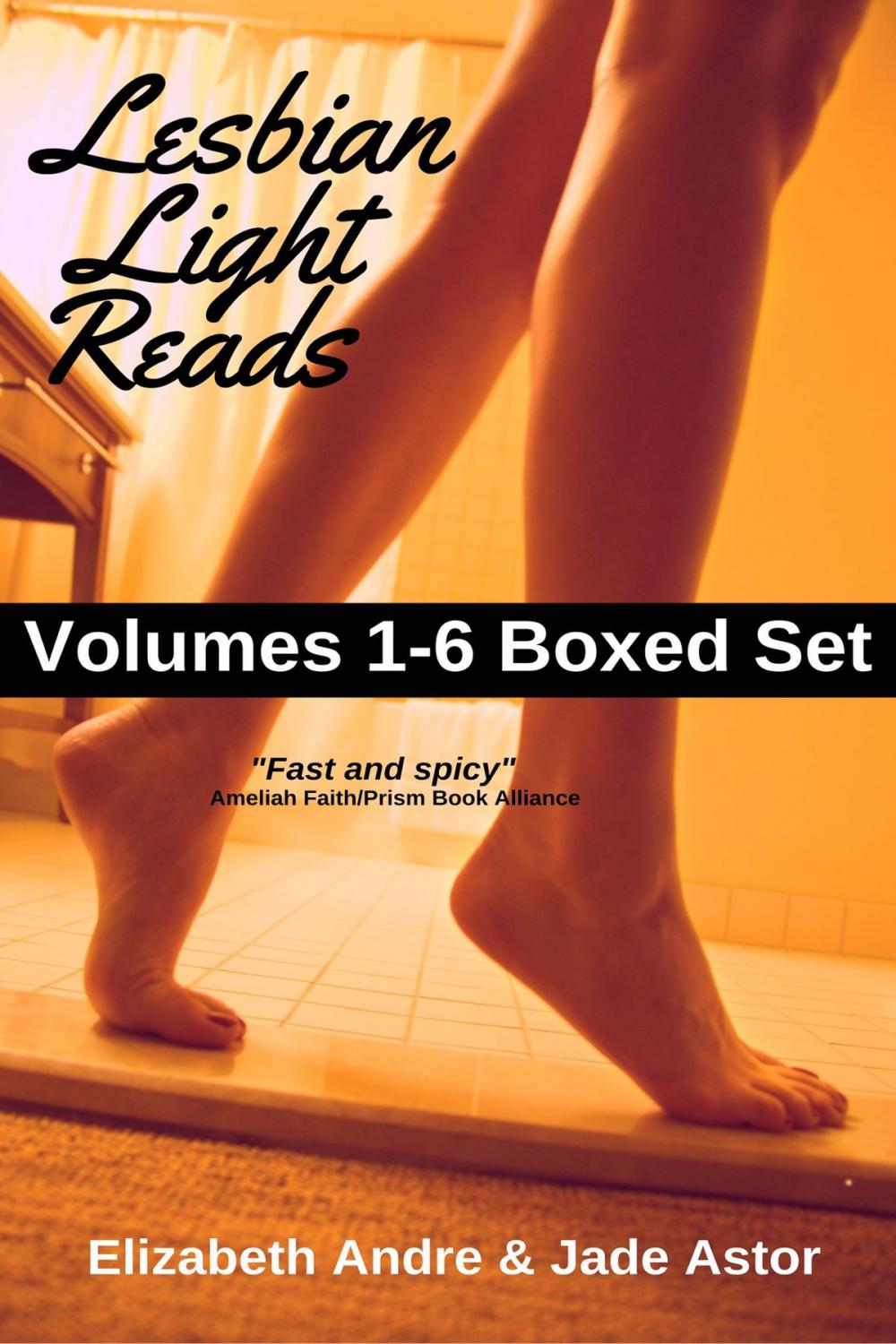 Big bigCover of Lesbian Light Reads Volumes 1-6 Boxed Set