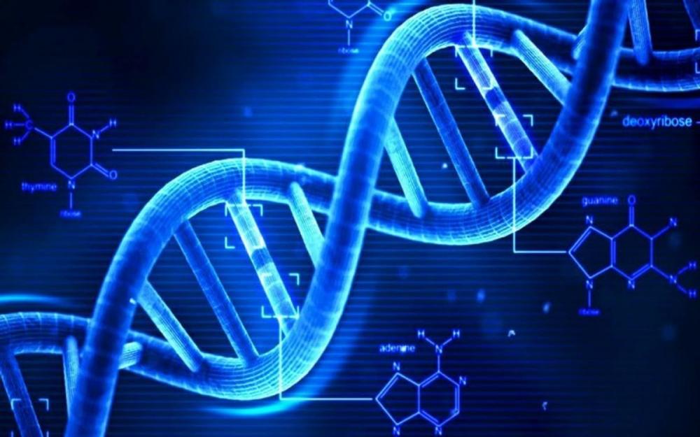 Big bigCover of Il DNA, la prova certa?: biologia molecolare e processo penale trattati in maniera semplice
