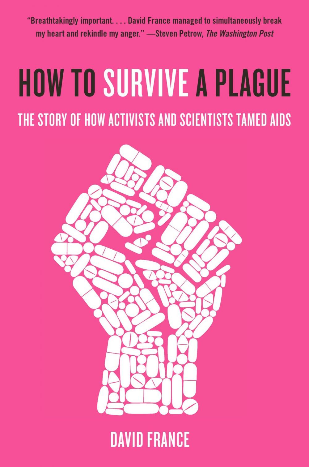 Big bigCover of How to Survive a Plague