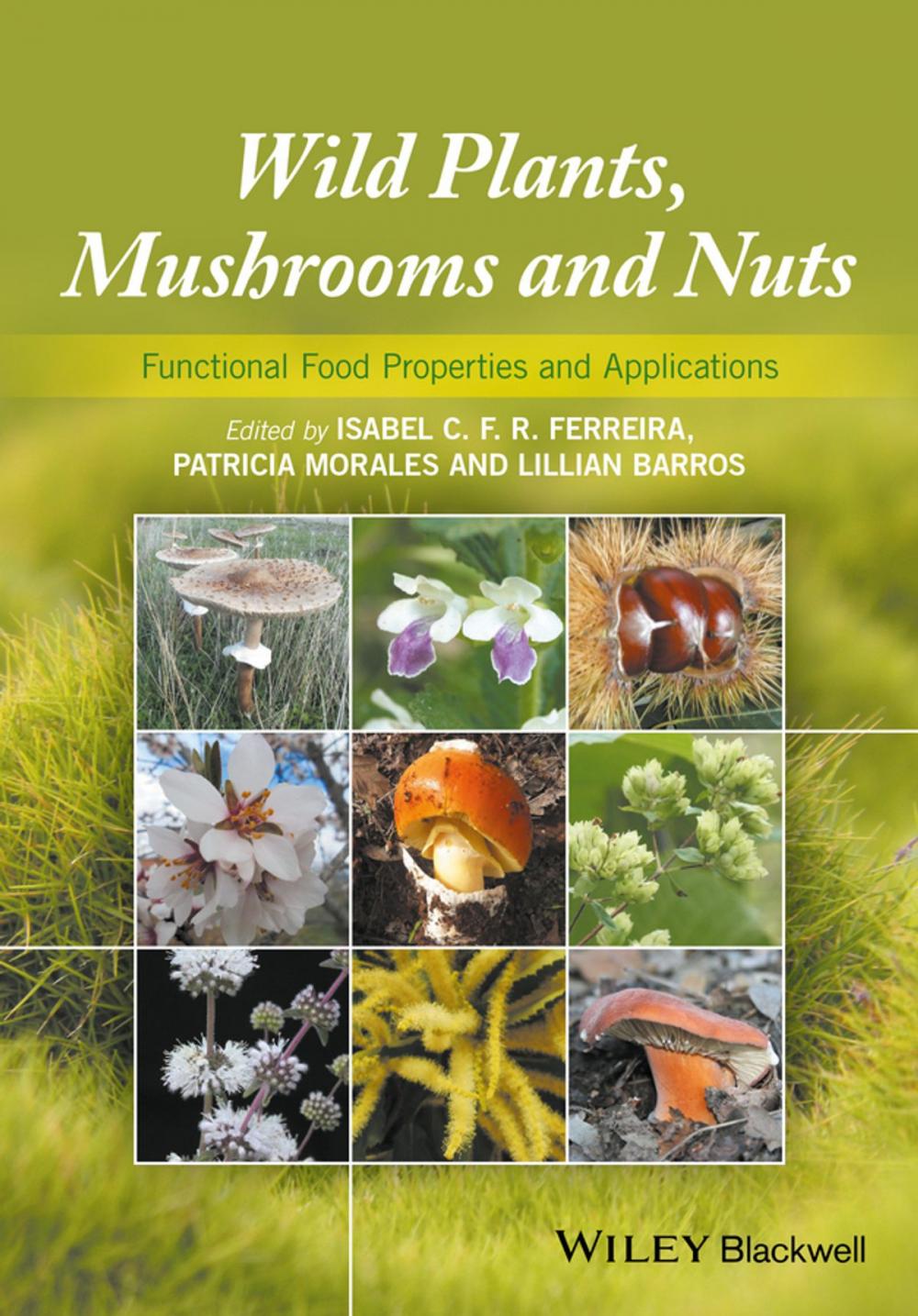 Big bigCover of Wild Plants, Mushrooms and Nuts