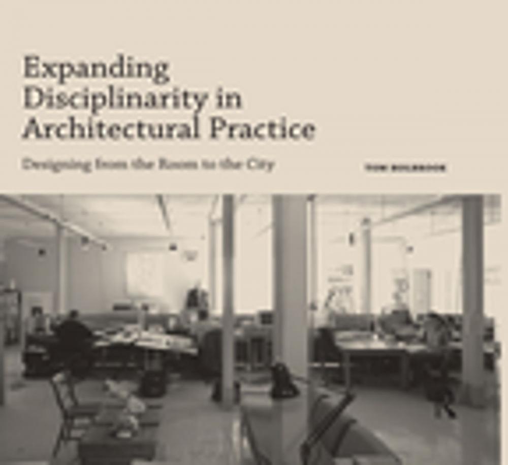Big bigCover of Expanding Disciplinarity in Architectural Practice