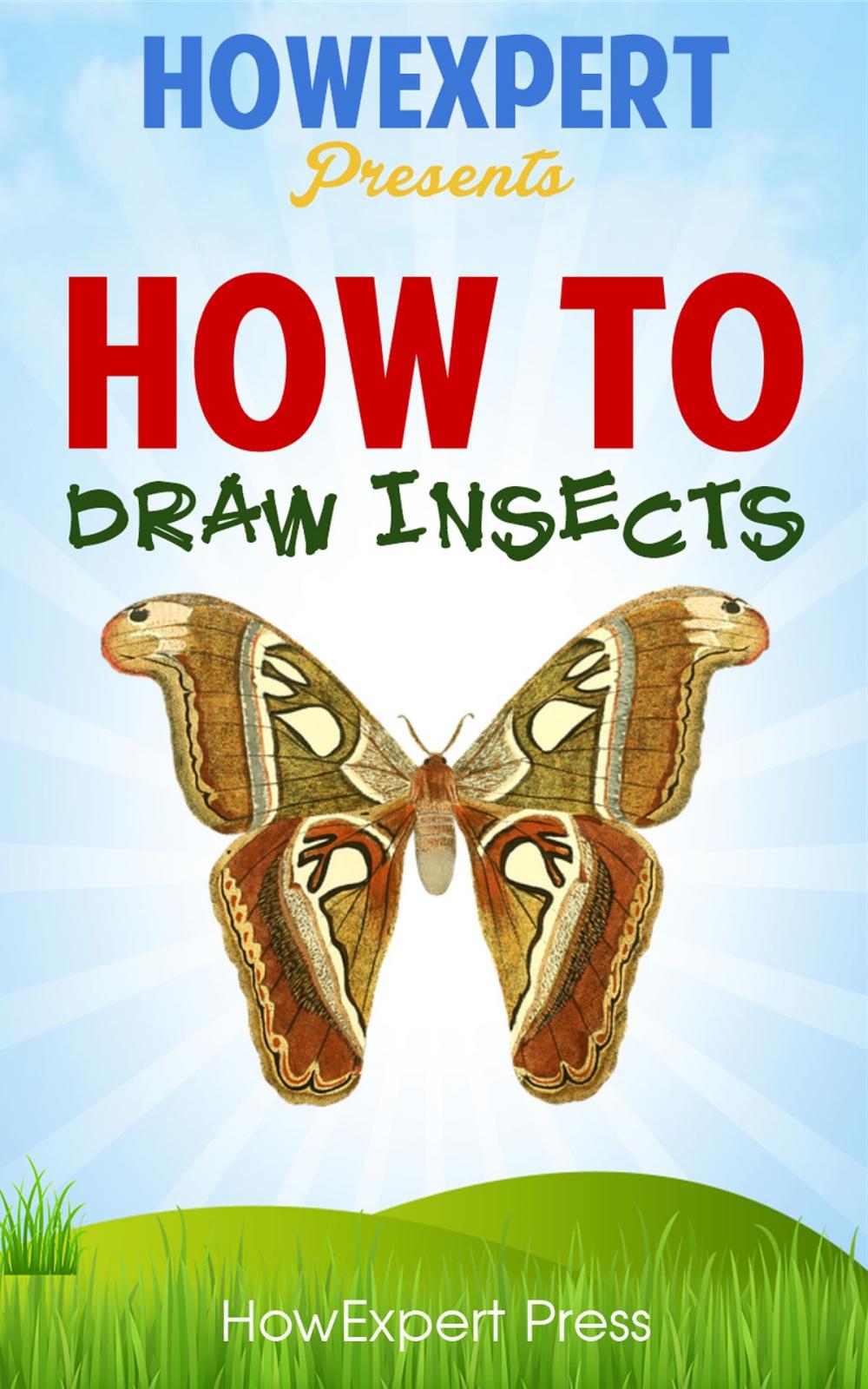 Big bigCover of How To Draw Insects