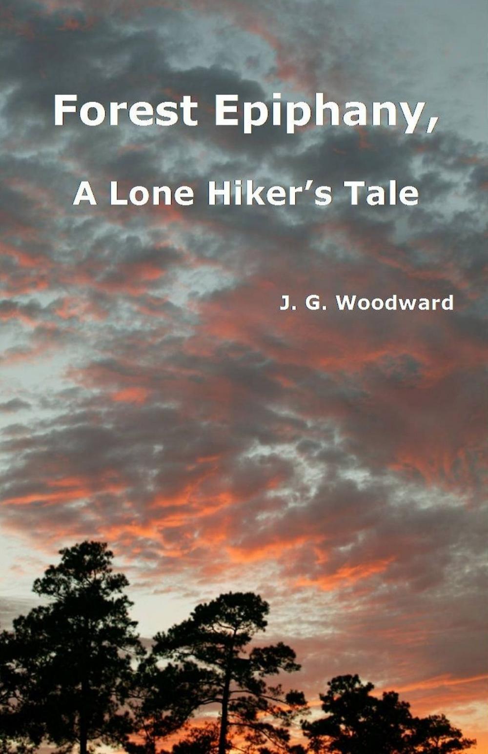Big bigCover of Forest Epiphany, A Lone Hiker's Tale