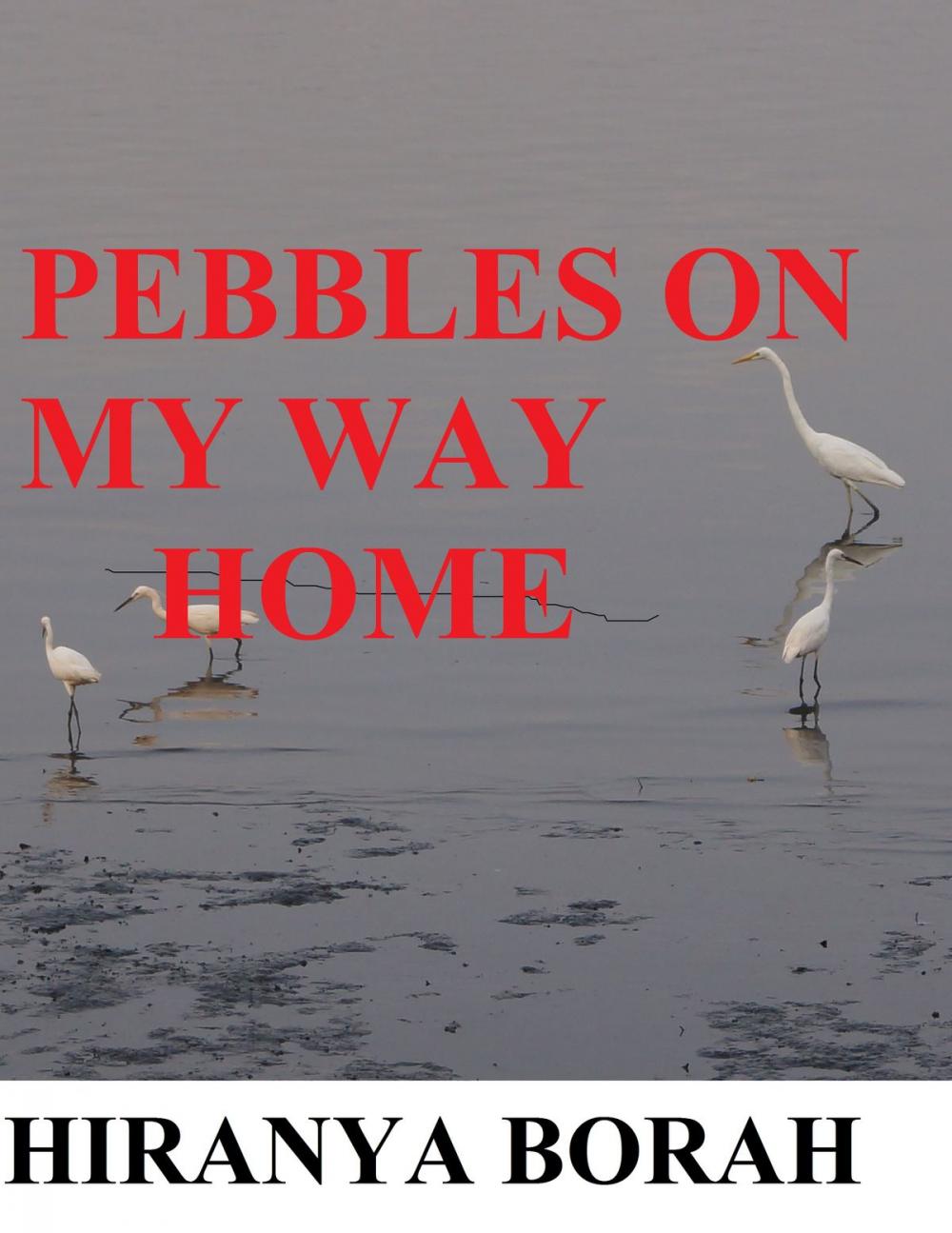 Big bigCover of Pebbles on My Way Home