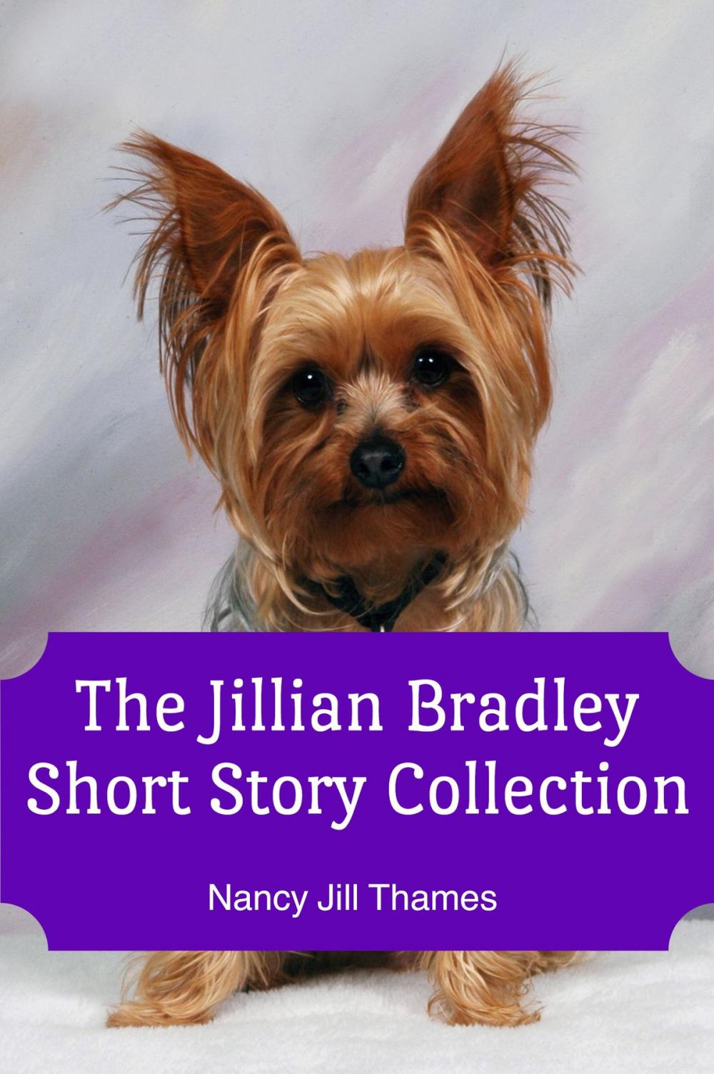 Big bigCover of The Jillian Bradley Short Story Collection (Jillian Bradley Mysteries Series Short Stories)