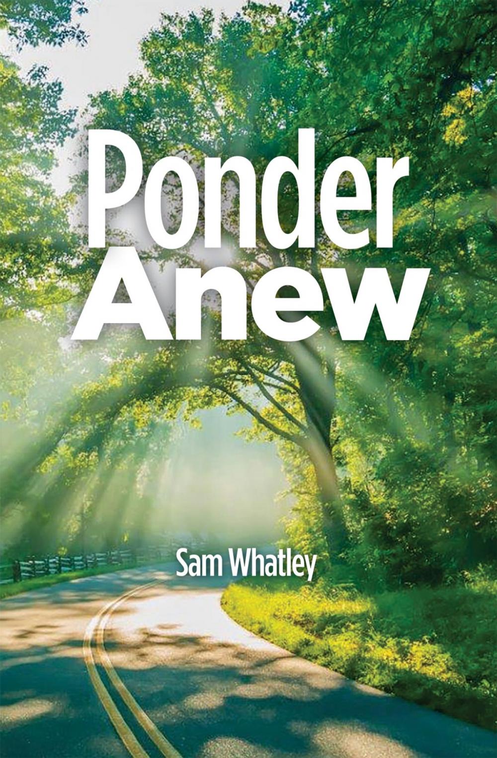 Big bigCover of Ponder Anew