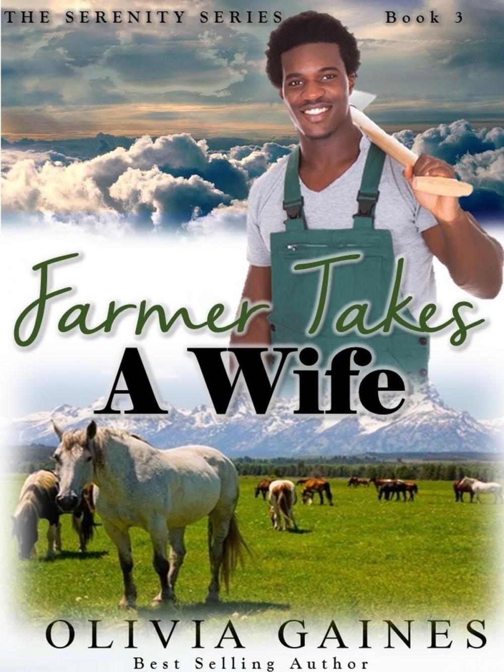 Big bigCover of Farmer Takes A Wife