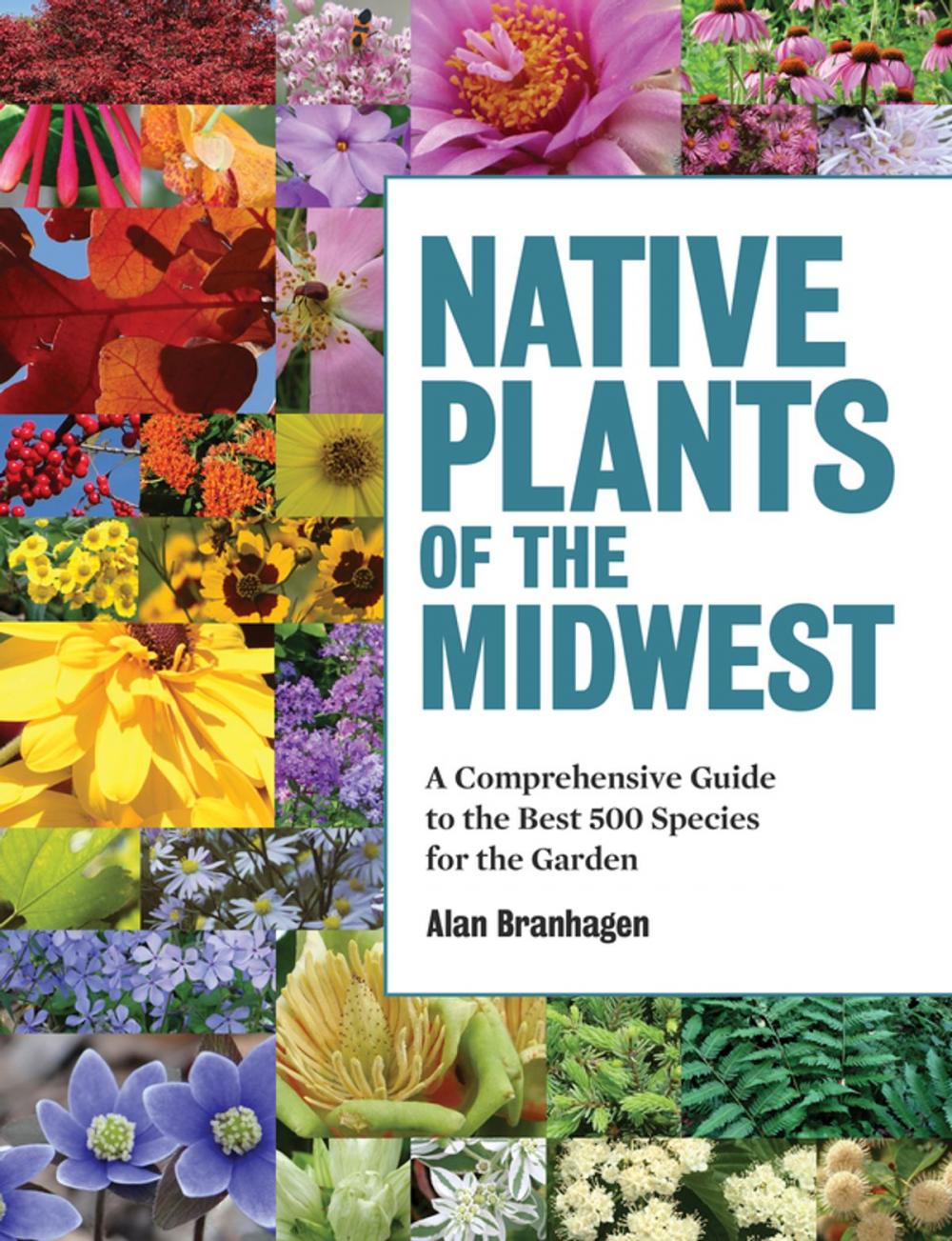 Big bigCover of Native Plants of the Midwest
