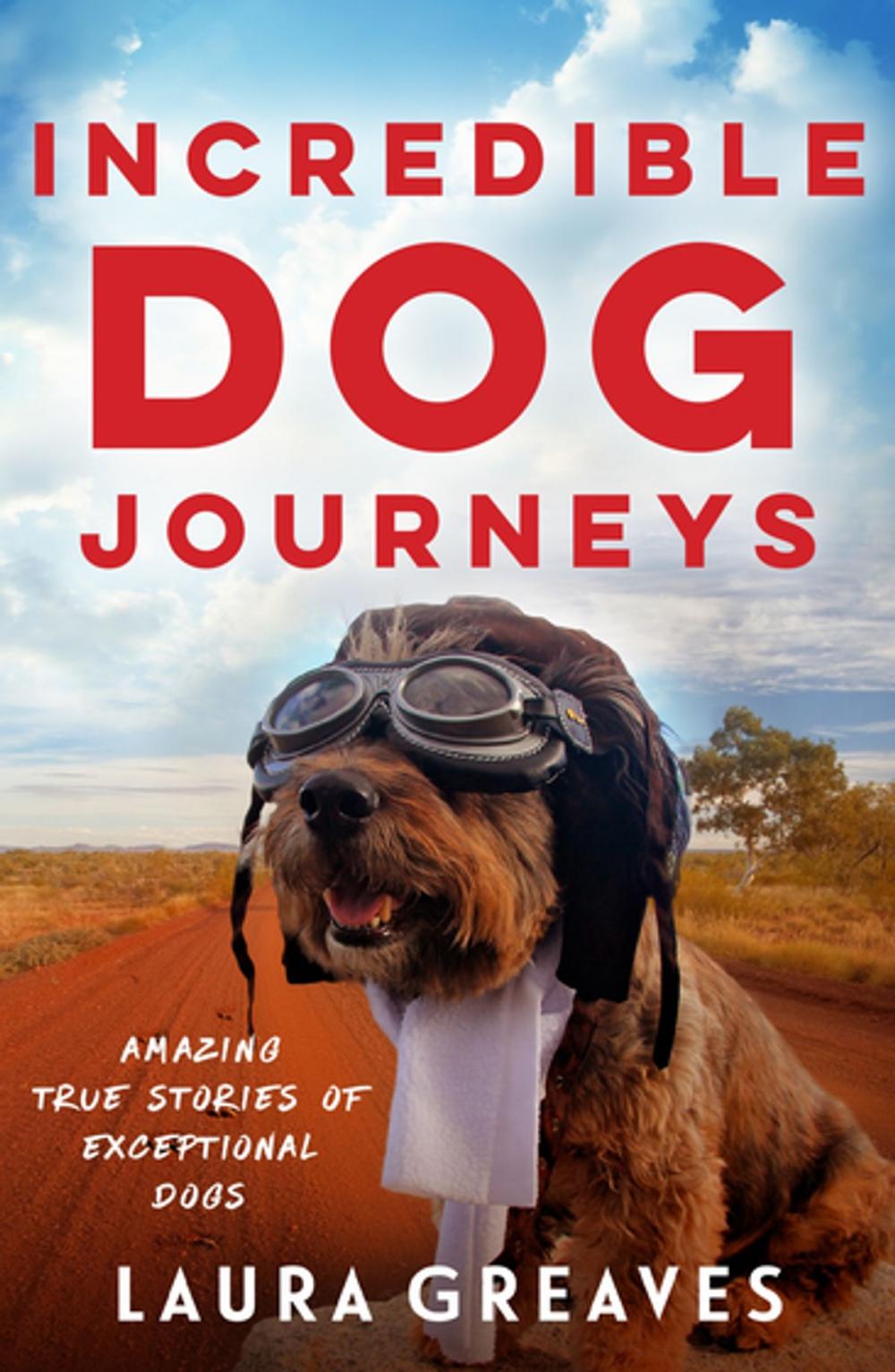 Big bigCover of Incredible Dog Journeys