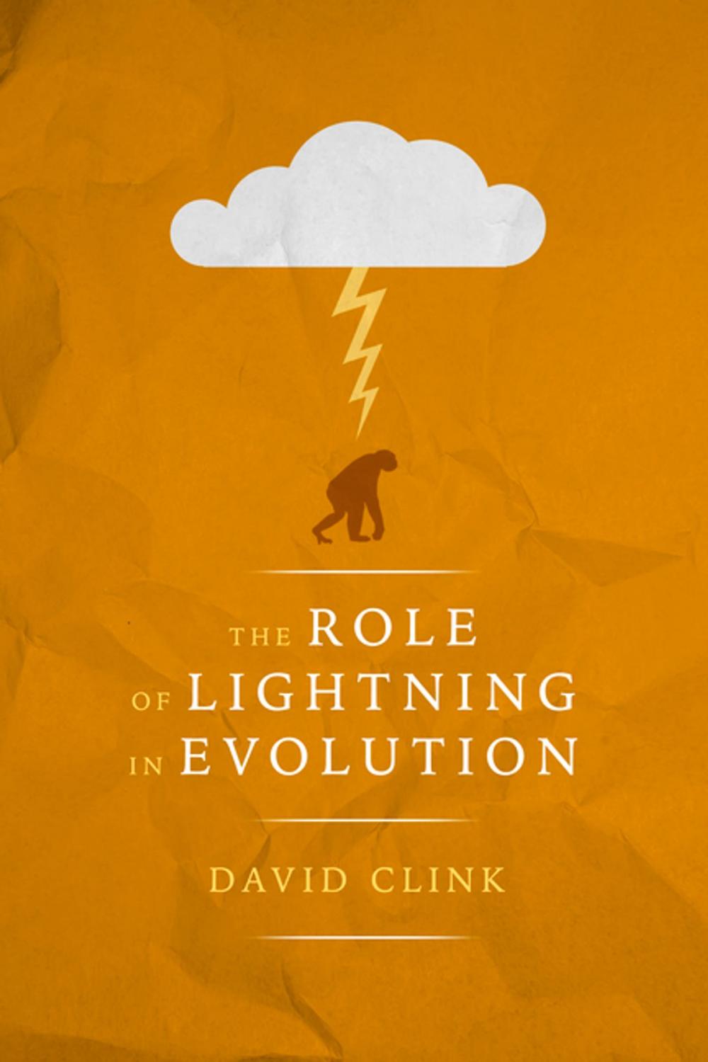 Big bigCover of The Role of Lightning in Evolution