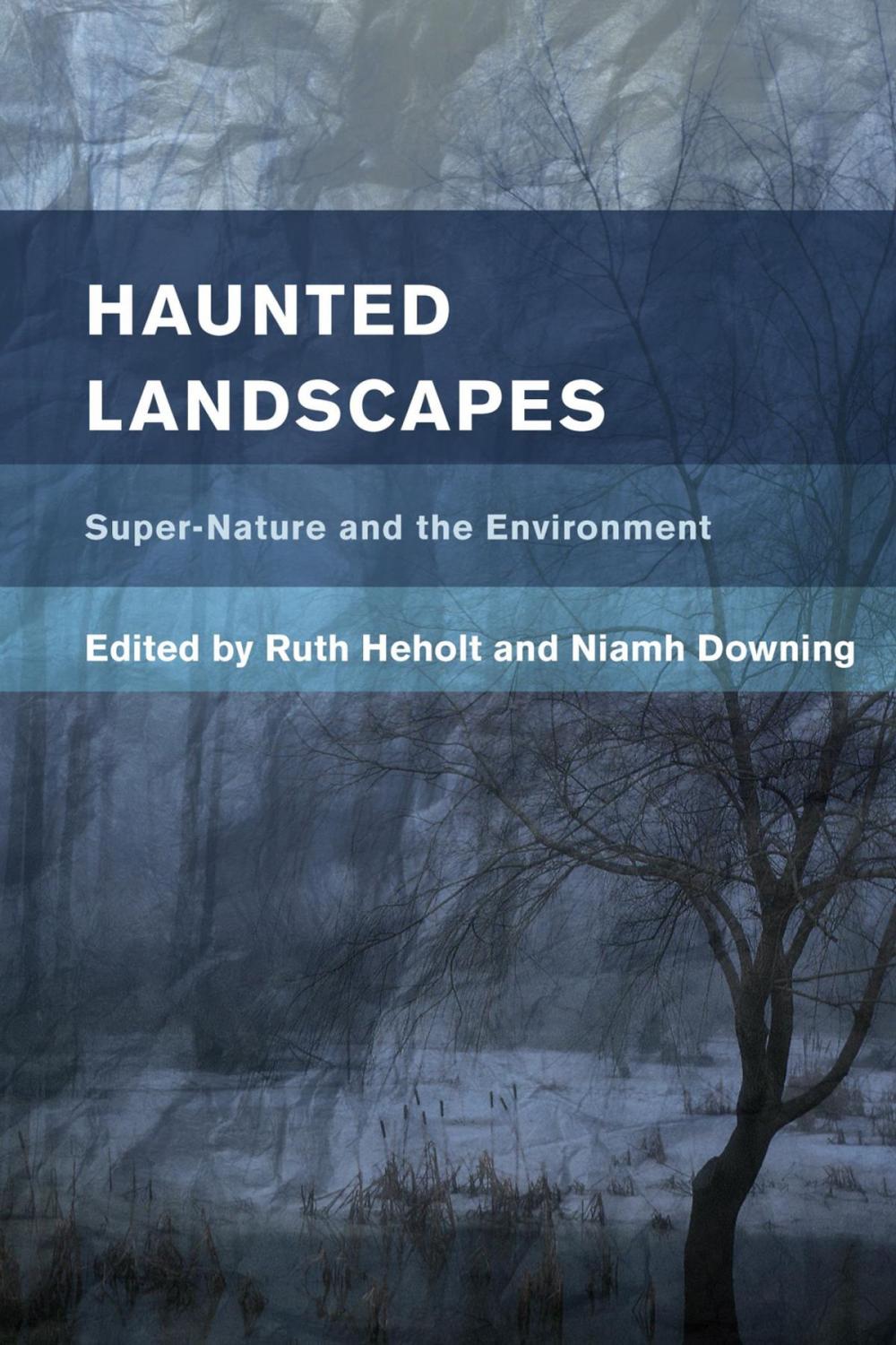 Big bigCover of Haunted Landscapes