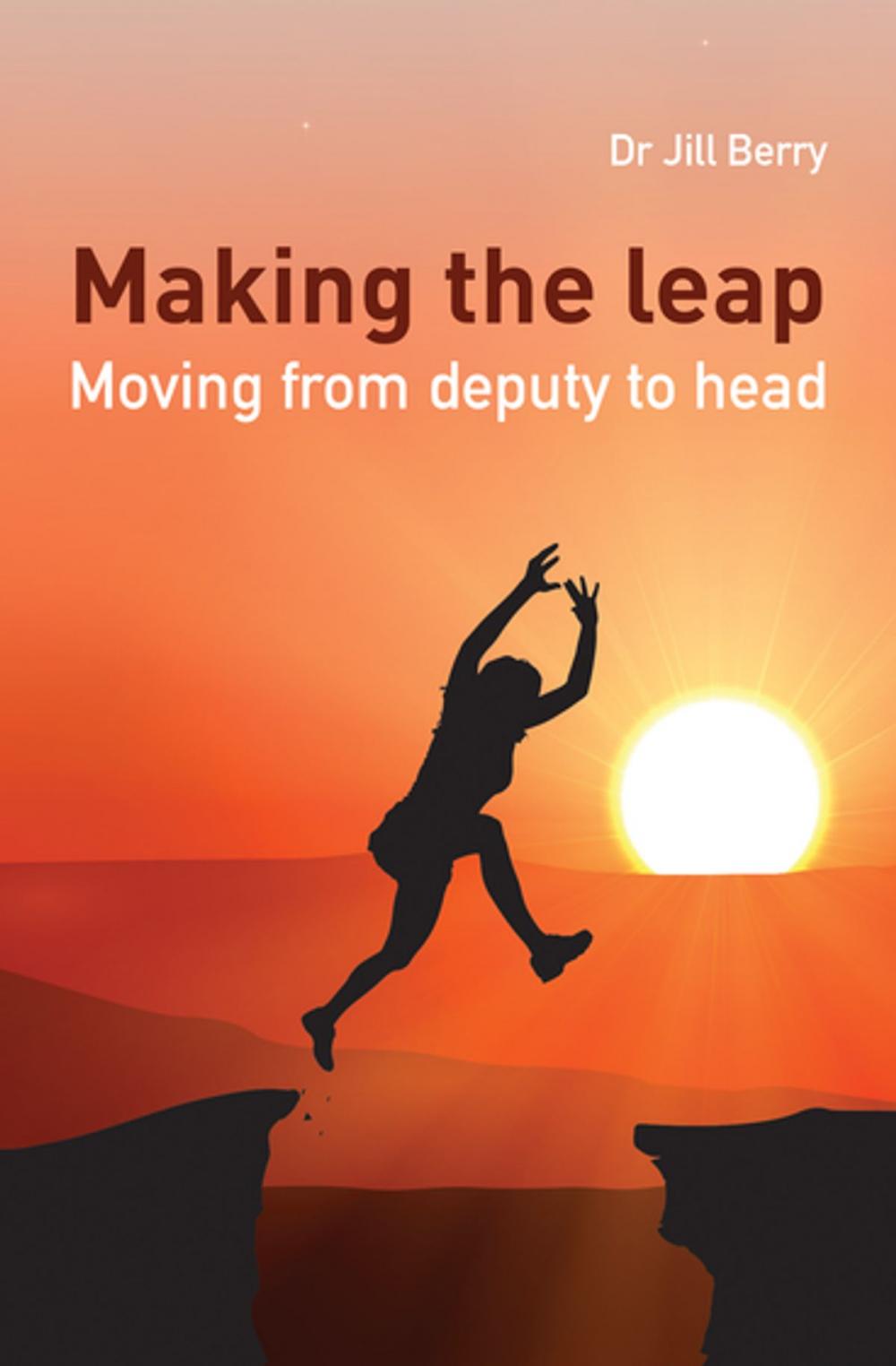 Big bigCover of Making the Leap