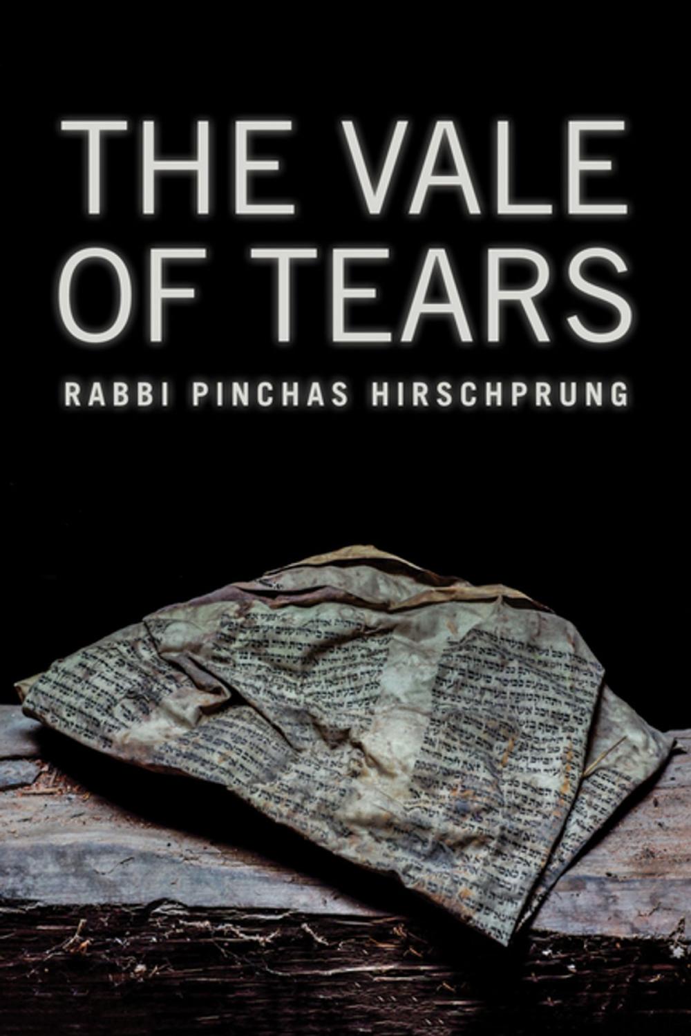 Big bigCover of The Vale of Tears