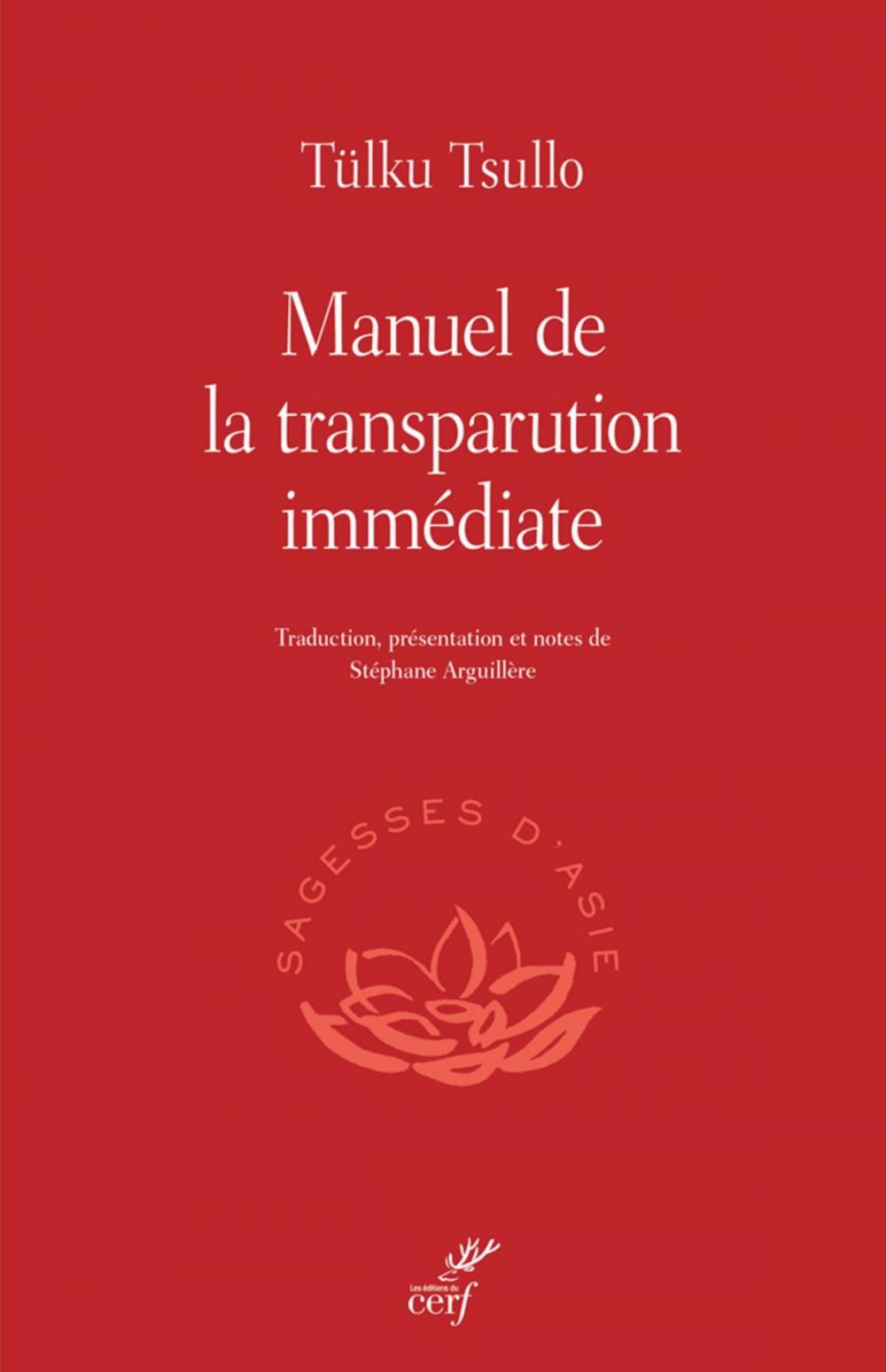 Big bigCover of Manuel de la transparution immédiate