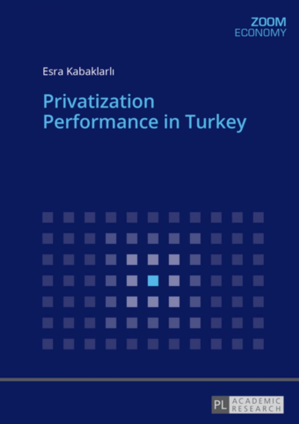 Big bigCover of Privatization Performance in Turkey