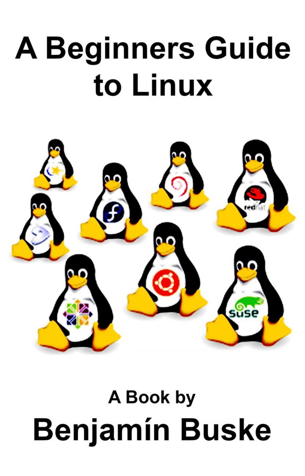 Big bigCover of A Beginners Guide to Linux