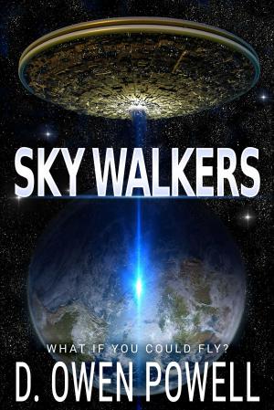 bigCover of the book Sky Walkers by 