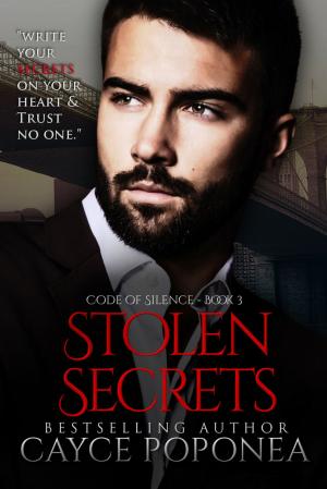 Cover of the book Stolen Secrets by Marion Pauw