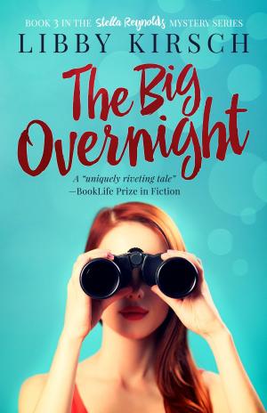 Book cover of The Big Overnight
