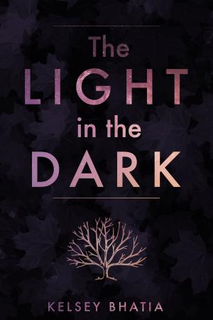 Cover of the book The Light in the Dark by Jeremy Reimer