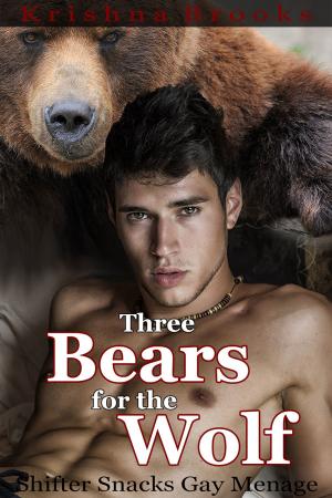 Cover of the book Three Bears for the Wolf by Jacklynn Ray