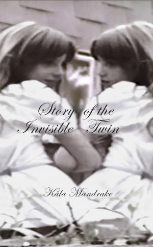 Cover of the book Story of the Invisible Twin by Michael Andre