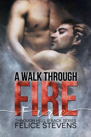 Cover of the book A Walk Through Fire by Mark Holtzclaw