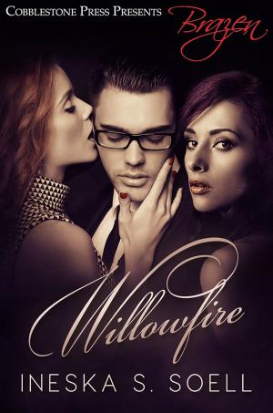Cover of the book Willowfire by jj Keller