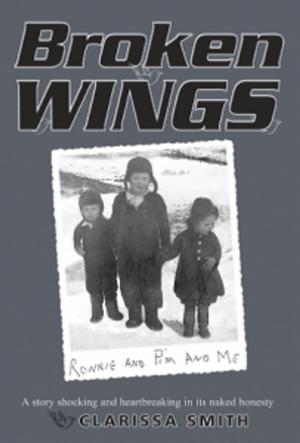 Cover of the book Broken Wings by Malcolm MacPherson