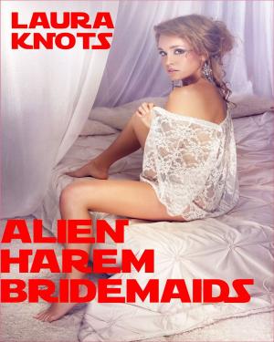 Cover of the book Alien Harem Bridesmaids by Laura Knots