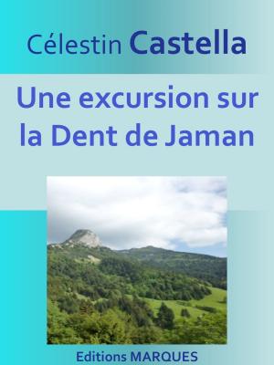 Cover of the book Une excursion sur la Dent de Jaman by Émile GABORIAU