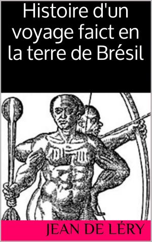 Cover of the book Histoire d’un voyage faict en la terre du Brésil by Renée Vivien