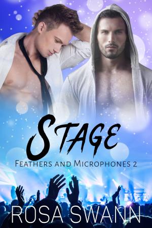 bigCover of the book Stage by 