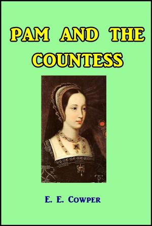 Cover of the book Pam and the Countess by I. J. Parker