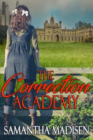 Cover of the book The Correction Academy by Chula Stone