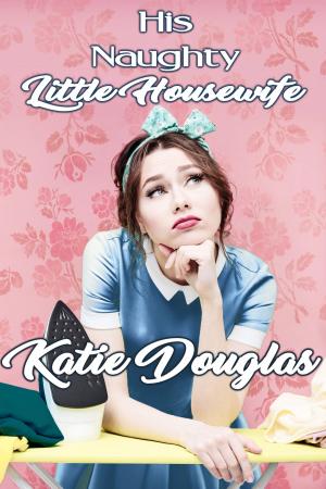 Cover of the book His Naughty Little Housewife by Ashlynn Ally