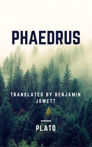 Cover of the book Phaedrus (Annotated) by Tim Freke & Peter Gandy