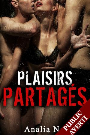 Book cover of Plaisirs Partagés (Roman Érotique, Vol. 1)