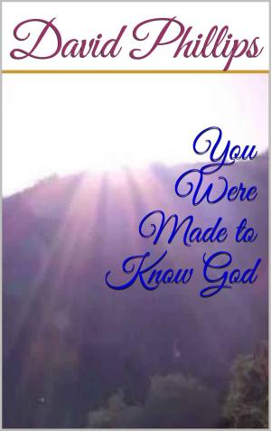 Cover of the book You Were Made to Know God by Felix Asade