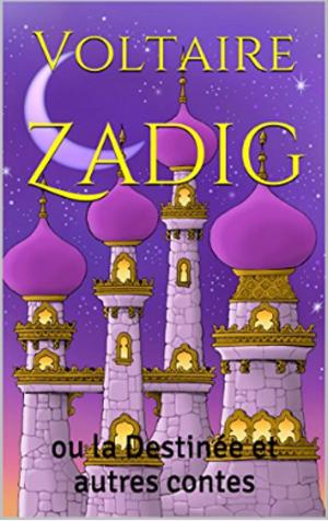 Cover of the book Zadig et autres contes by Paul Valéry