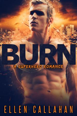 Cover of the book Burn by Ash Nom DePlume