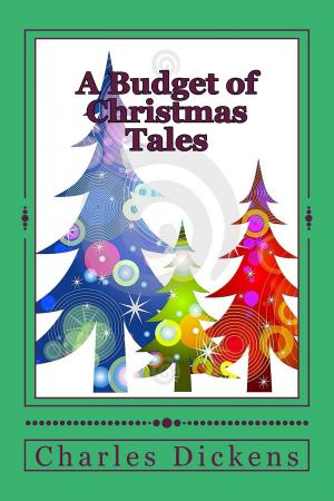 Cover of the book A Budget of Christmas Tales (Illustrated Edition) by Charles Alden Seltzer, W. M. Allison, Illustrator