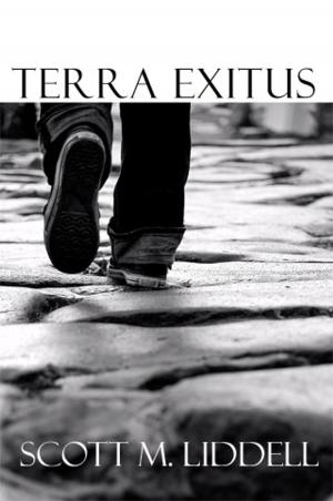 Book cover of Terra Exitus